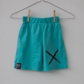 Bandit Kids X Marks the Spot Skate Shorts Aqua